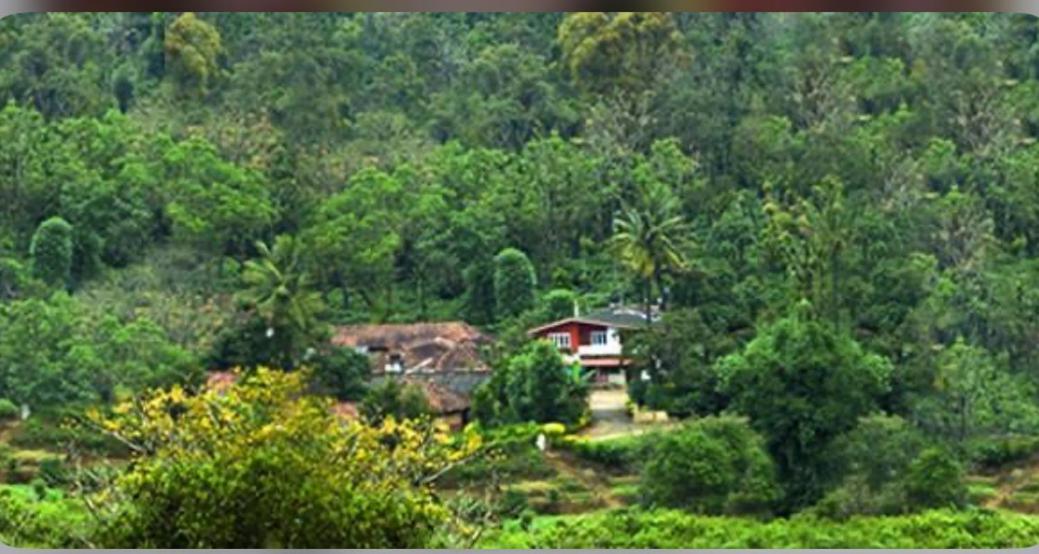 Coorg Naladi Holidays Kakkabe エクステリア 写真